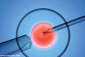 景泰胚胎实验室